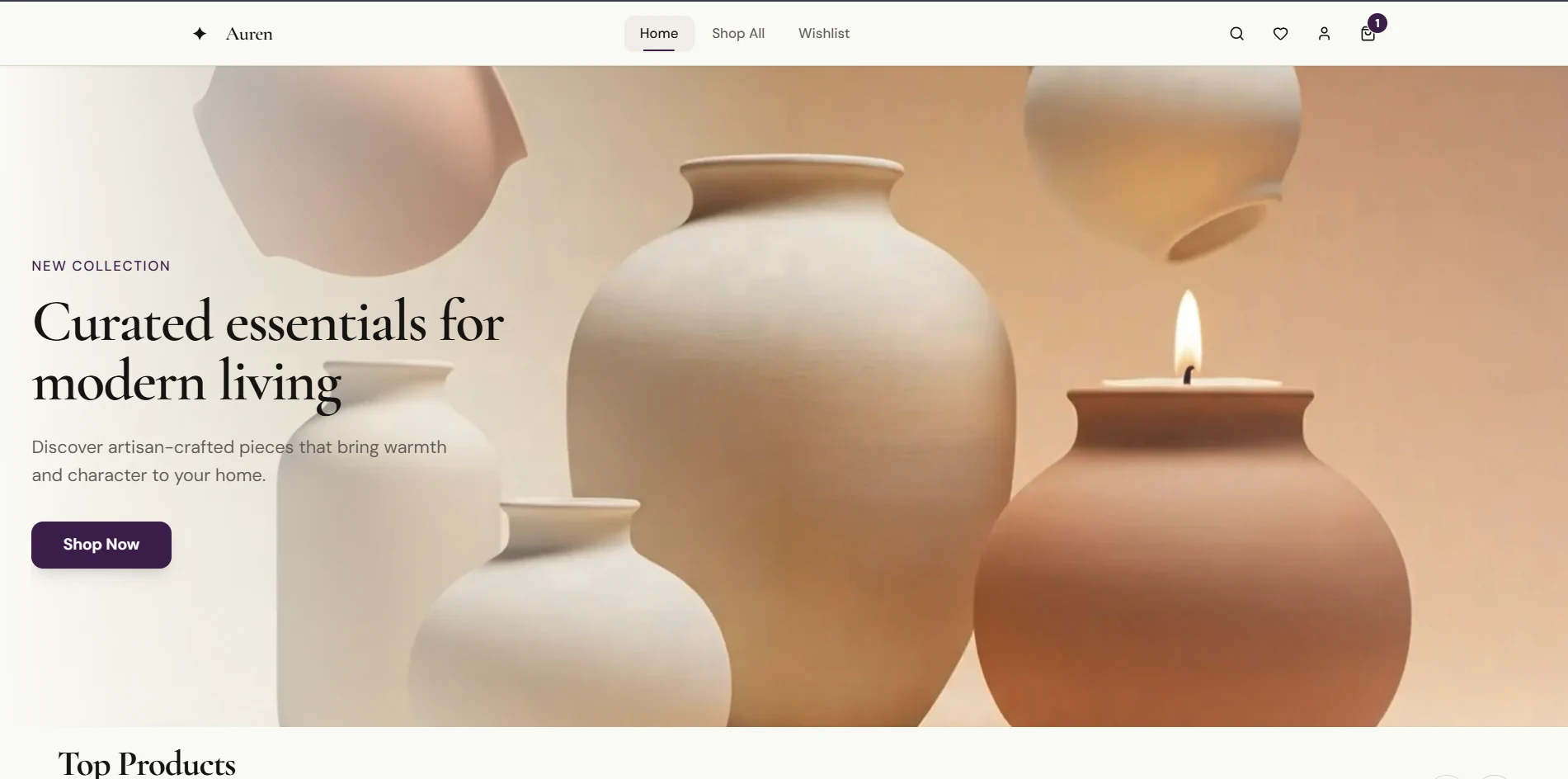 Auren Full E-Commerce Platform - Screenshot 1